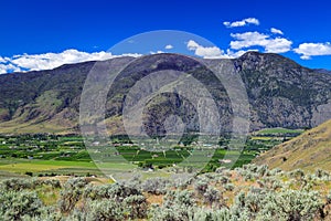 Fruit Orchard Cawston Similkameen Valley British Columbia Landscape