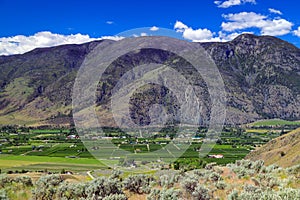 Fruit Orchard Cawston Similkameen Valley British Columbia Landscape