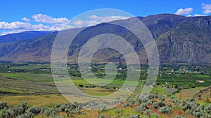 Fruit Orchard Cawston Similkameen Valley British Columbia Landscape