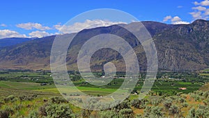 Fruit Orchard Cawston Similkameen Valley British Columbia Landscape