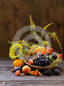 Fruit organic harvest