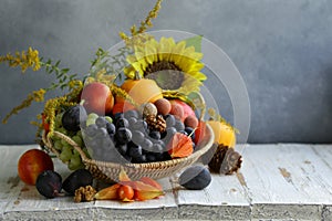 Fruit organic harvest