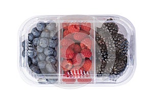 fruit packaging mockup