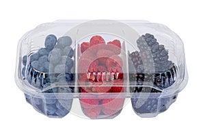 fruit packaging mockup