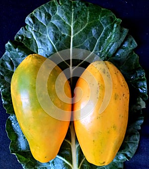 Fruit papayas on natural green leaf background.