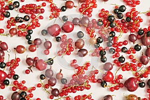 Fruit pattern of colorful fresh berries on white background. Top view. Flat lay. Summer Organic Berry Cherry, Currant, Gooseberry