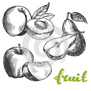 Fruit peach, apple, pear set hand drawn vector illustration sketch