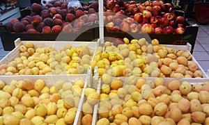 Fruit peaches, apricots