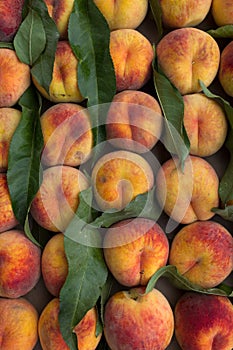 Fruit peaches ripe