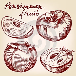 Fruit persimmon set hand drawn vector illustration sketch