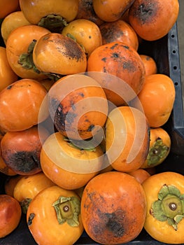 Fruit - Persimmons