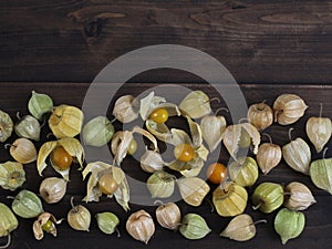 Fruit Physalis on a dark wooden background