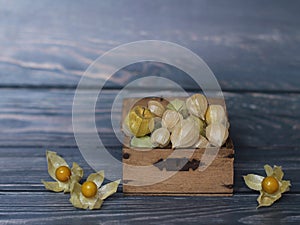 Fruit Physalis in wooden crate