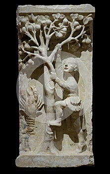 Fruit picking (Gemini climbing pear tree) and Cancer - high relief from Ferrara cathedral by Maestro dei Mesi photo