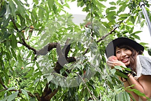 Fruit picking girl at outer place