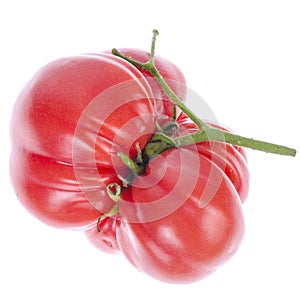 Fruit of pink delicious ripe beef tomato on white background