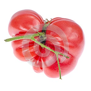 Fruit of pink delicious ripe beef tomato on white background