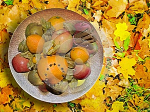 Fruit platter with spiced fruits on autumn leaves