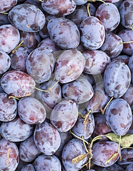 Fruit plums in big market