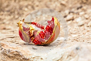 Fruit ripe juicy pomegranate seeds