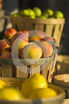 Fruit at Roadside Market