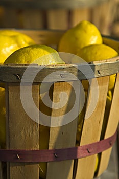 Fruit at Roadside Market