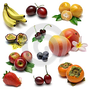 Fruit Sampler 1