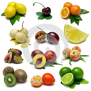 Fruit Sampler photo