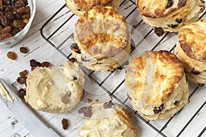 Fruit Scones on Rack Top View