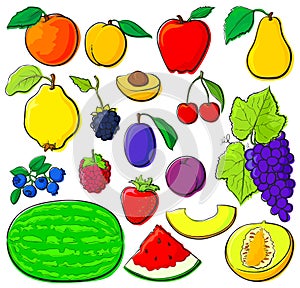 Fruit set with black outlines