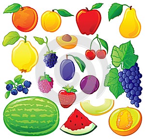 Fruit set with color outlines photo