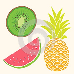 Fruit set. Mango, watermelon, pineapple