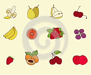 Fruit set sketch