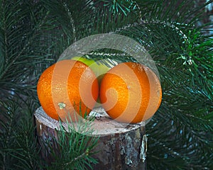 Fruit set of two oranges and a green Apple lying on a stump under a pine tree