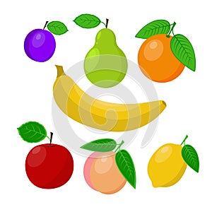 Fruit set vector illustration isolated on white background