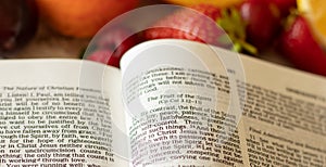 Fruit of the Spirit Holy Bible book Galatians 5