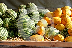 Fruit stall