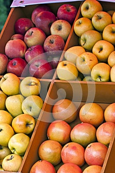 Fruit stall with apples and grapefruits 