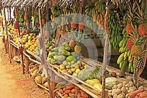 Fruit stand in small village, Samana peninsula photo