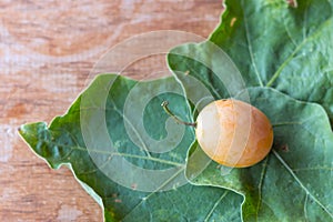 Fruit with sweet orange. Find in Asia