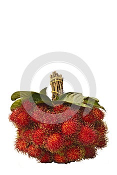 Fruit Of Thailand