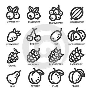 Fruit thin line icon