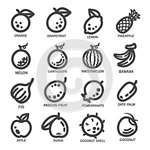 Fruit thin line icon