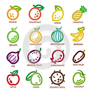 Fruit thin line icon