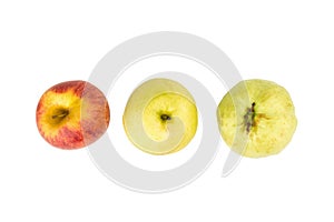 fruit traffic light concept. apple red. chinese pear yellow. guava green. isolated on white background