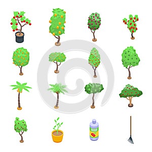 Fruit tree icons set, isometric style