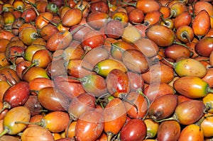 Fruit, tree tomato in supermarket - Solanum betaceum