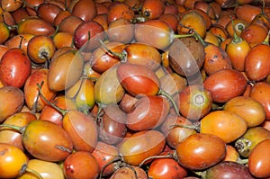 Fruit, tree tomato in supermarket - Solanum betaceum