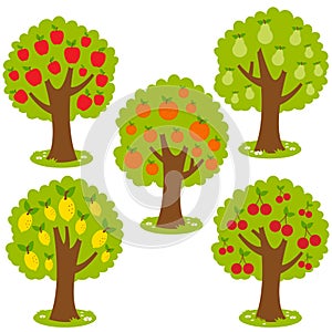 Fruit trees. Vector Illustration