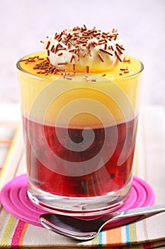 Fruit trifle photo